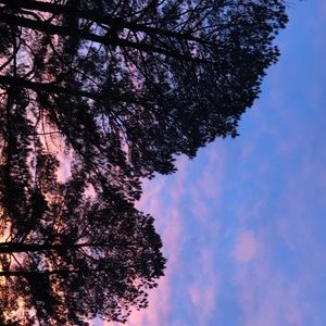 Meet your Posher, Sophie